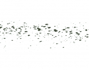 New Chinese StyleChinese Style Painting