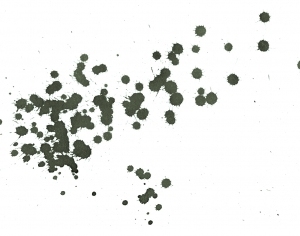 New Chinese StyleChinese Style Painting