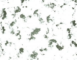 New Chinese StyleChinese Style Painting