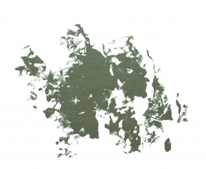 New Chinese StyleChinese Style Painting