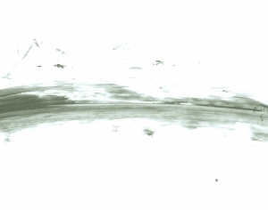 New Chinese StyleChinese Style Painting