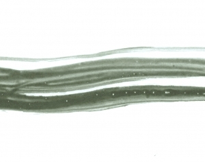 New Chinese StyleChinese Style Painting