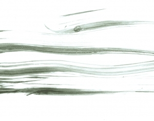 New Chinese StyleChinese Style Painting