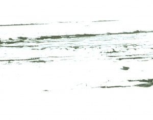 New Chinese StyleChinese Style Painting