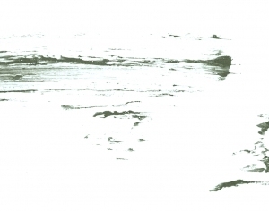 New Chinese StyleChinese Style Painting