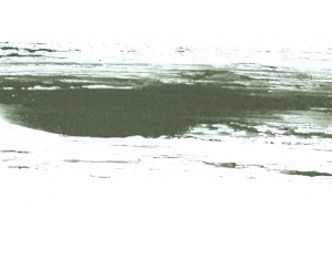 New Chinese StyleChinese Style Painting