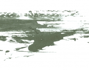 New Chinese StyleChinese Style Painting