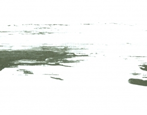 New Chinese StyleChinese Style Painting