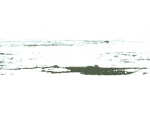 New Chinese StyleChinese Style Painting