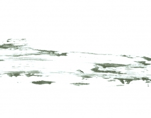 New Chinese StyleChinese Style Painting