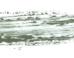 New Chinese StyleChinese Style Painting