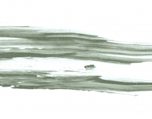 New Chinese StyleChinese Style Painting