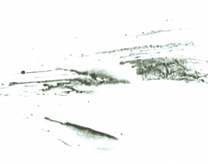 New Chinese StyleChinese Style Painting