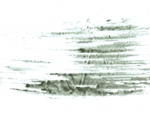 New Chinese StyleChinese Style Painting