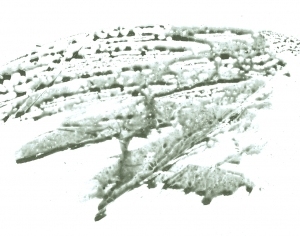 New Chinese StyleChinese Style Painting