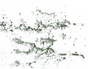 New Chinese StyleChinese Style Painting