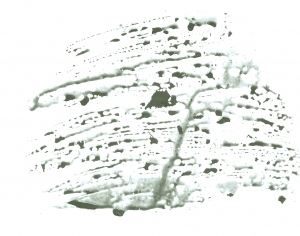 New Chinese StyleChinese Style Painting