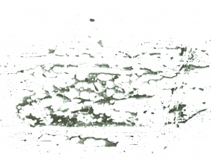 New Chinese StyleChinese Style Painting