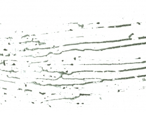 New Chinese StyleChinese Style Painting