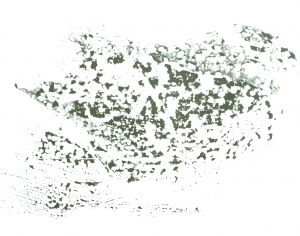 New Chinese StyleChinese Style Painting