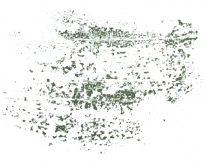 New Chinese StyleChinese Style Painting