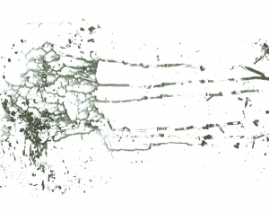 New Chinese StyleChinese Style Painting