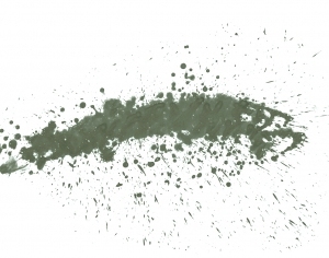 New Chinese StyleChinese Style Painting