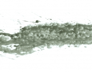 New Chinese StyleChinese Style Painting