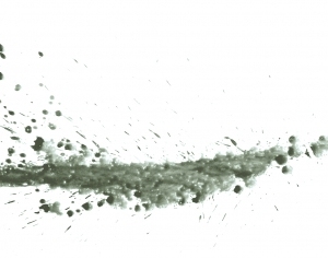 New Chinese StyleChinese Style Painting