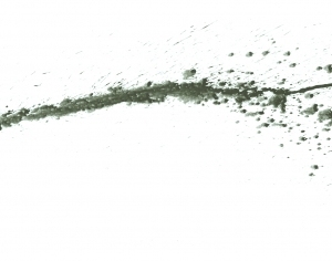 New Chinese StyleChinese Style Painting