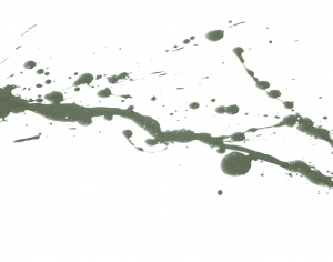 New Chinese StyleChinese Style Painting