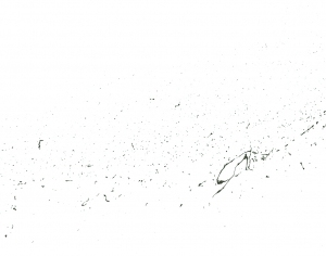 New Chinese StyleChinese Style Painting