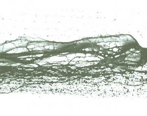 New Chinese StyleChinese Style Painting