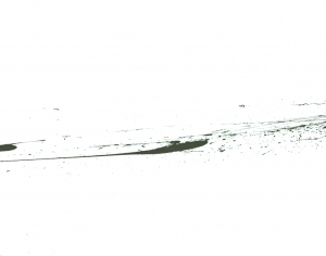 New Chinese StyleChinese Style Painting