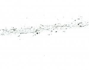 New Chinese StyleChinese Style Painting