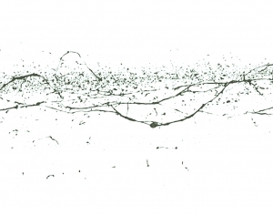 New Chinese StyleChinese Style Painting