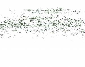 New Chinese StyleChinese Style Painting