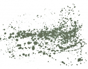 New Chinese StyleChinese Style Painting