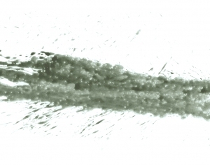 New Chinese StyleChinese Style Painting