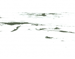 New Chinese StyleChinese Style Painting