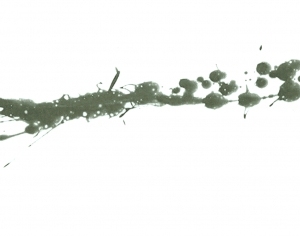 New Chinese StyleChinese Style Painting