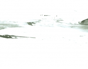 New Chinese StyleChinese Style Painting