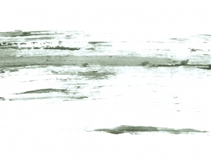 New Chinese StyleChinese Style Painting