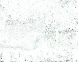 ModernBump Black And White