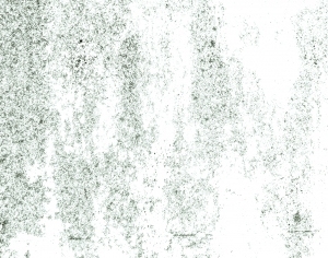 ModernBump Black And White