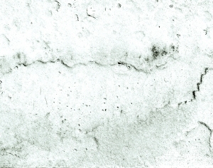 ModernBump Black And White