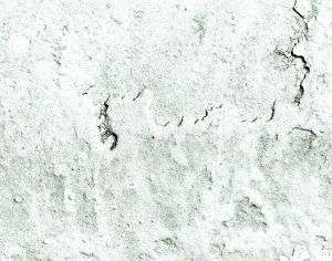 ModernBump Black And White