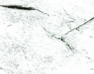 ModernBump Black And White