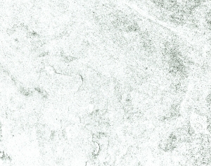 ModernBump Black And White