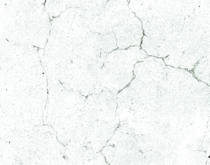 ModernBump Black And White